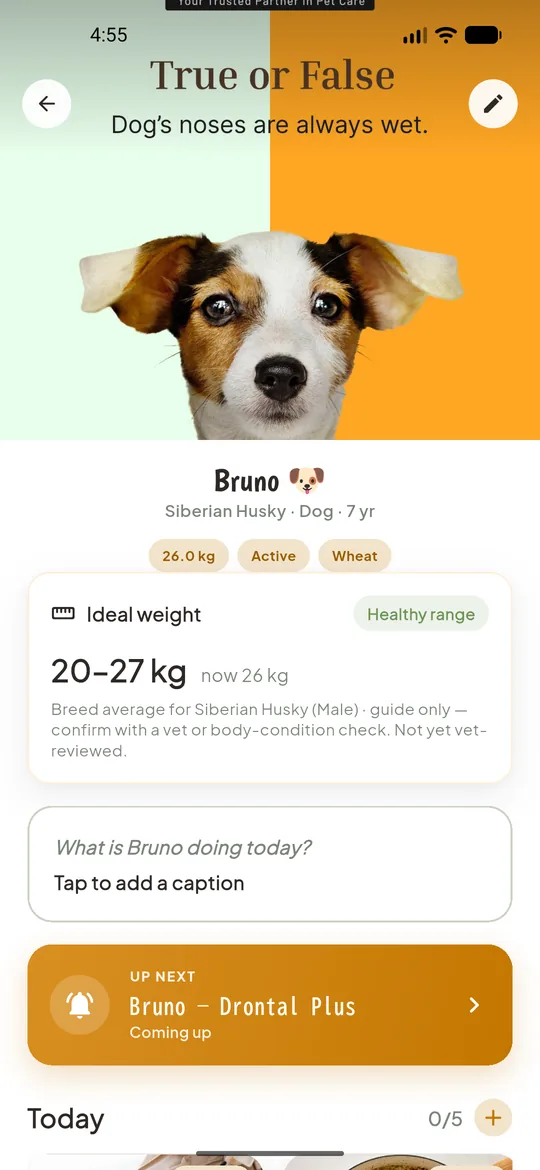 A pet profile in Go Paws showing breed, age, current weight and the ideal weight range for the breed